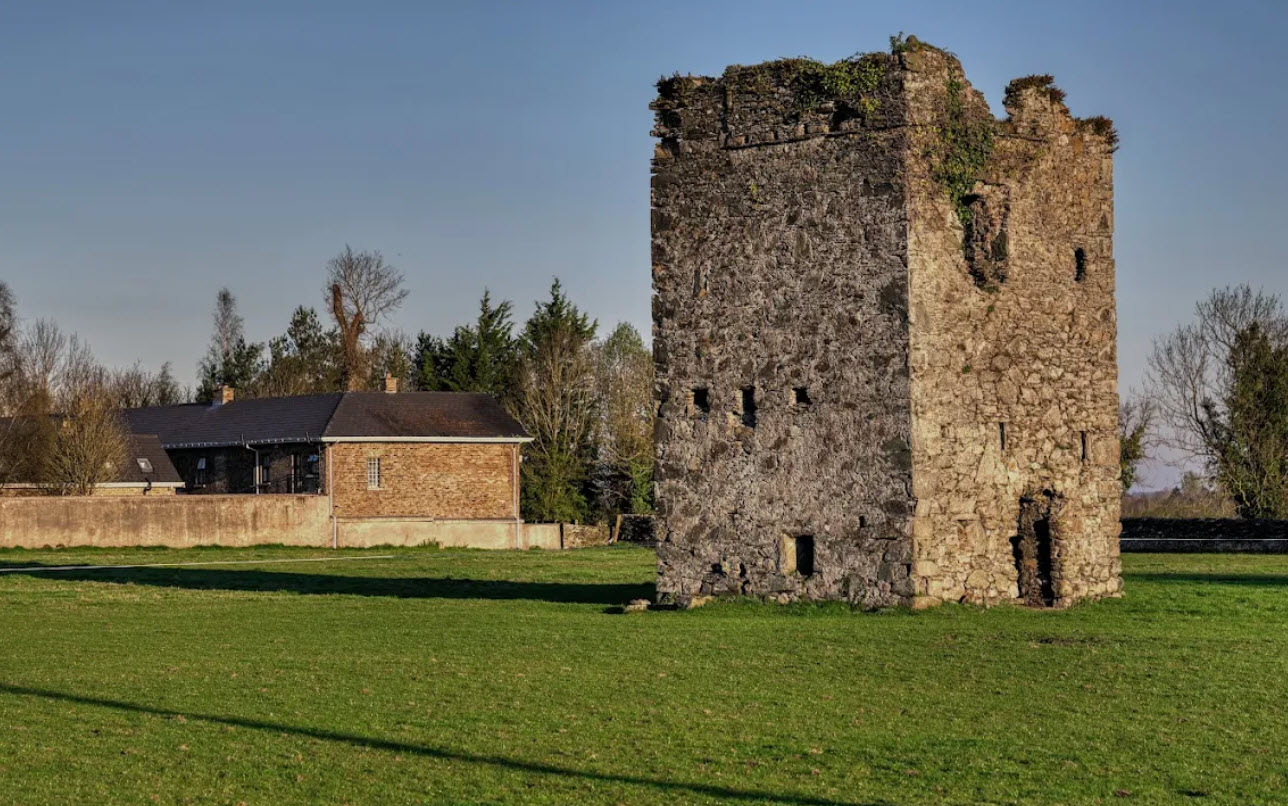 Jigginstown Castle, Ireland